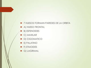  7 HUESOS FORMAN PAREDES DE LA ORBITA
 A) HUESO FRONTAL
 B) ESFENOIDES
 C) MAXILAR
 D) CIGOMATICO
 E) PALATINO
 F) ETMOIDES
 G) LAGRIMAL
 