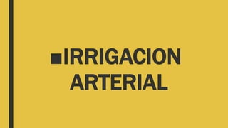 ■IRRIGACION
ARTERIAL
 
