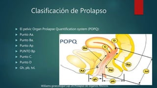 Procolase Cap ANATOMIA DEL APARATO FEMENINO KKJHHHHYUI | PPTX