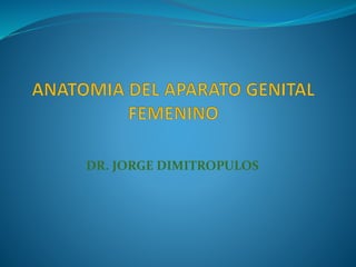 DR. JORGE DIMITROPULOS
 