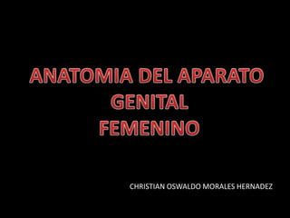 CHRISTIAN OSWALDO MORALES HERNADEZ ANATOMIA DEL APARATO  GENITAL FEMENINO 