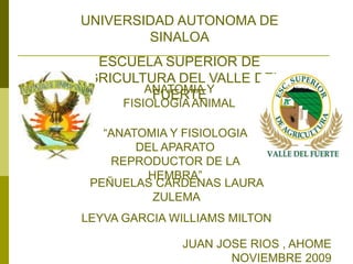 UNIVERSIDAD AUTONOMA DE SINALOA ESCUELA SUPERIOR DE AGRICULTURA DEL VALLE DEL FUERTE ANATOMIA Y FISIOLOGIA ANIMAL “ANATOMIA Y FISIOLOGIA DEL APARATO REPRODUCTOR DE LA HEMBRA” PEÑUELAS CARDENAS LAURA ZULEMA LEYVA GARCIA WILLIAMS MILTON JUAN JOSE RIOS , AHOME NOVIEMBRE 2009 