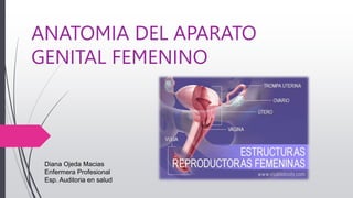ANATOMIA DEL APARATO
GENITAL FEMENINO
Diana Ojeda Macias
Enfermera Profesional
Esp. Auditoria en salud
 