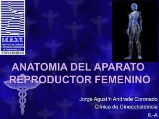ANATOMIA DEL APARATO
REPRODUCTOR FEMENINO
Jorge Agustín Andrade Coronado
Clínica de Ginecobstetricia
8.-A
 