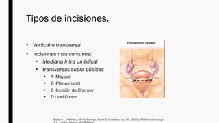 Anatomía Completa de la Pared Abdominal para Ginecología | PPTX