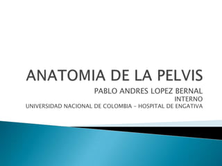 PABLO ANDRES LOPEZ BERNAL
INTERNO
UNIVERSIDAD NACIONAL DE COLOMBIA – HOSPITAL DE ENGATIVA
 