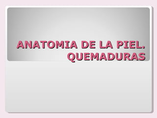 ANATOMIA DE LA PIEL. QUEMADURAS 