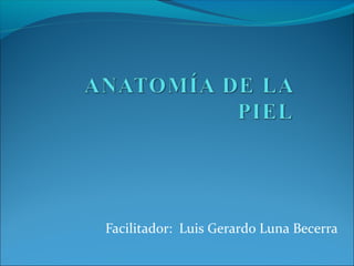 Facilitador: Luis Gerardo Luna Becerra

 