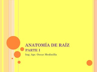 ANATOMÍA DE RAÍZ
PARTE I
Ing. Agr. Oscar Medinilla
 