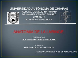 UNIVERSIDAD AUTÓNOMA DE CHIAPAS
     FACULTAD DE MEDICINA HUMANA
      DR. MANUEL VELASCO SUAREZ
              CAMPUS IV
         EXTENSION TAPACHULA




 ANATOMIA DE LA LARINGE.
                CATEDRATICO:
      DRA. GEORGINA CALVO FONSECA .ORL


                  PONENTE:
        LUIS FERNANDO GUILLEN GARCIA

                   TAPACHULA CHIAPAS, A 20 DE ABRIL DEL 2012
 