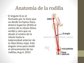 ANATOMIA DE LA RODILLA FINAL.pptx