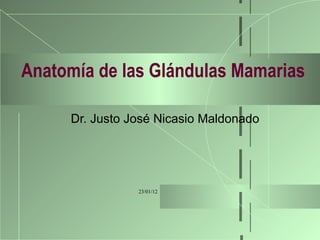 Anatomía de las Glándulas Mamarias Dr. Justo José Nicasio Maldonado 