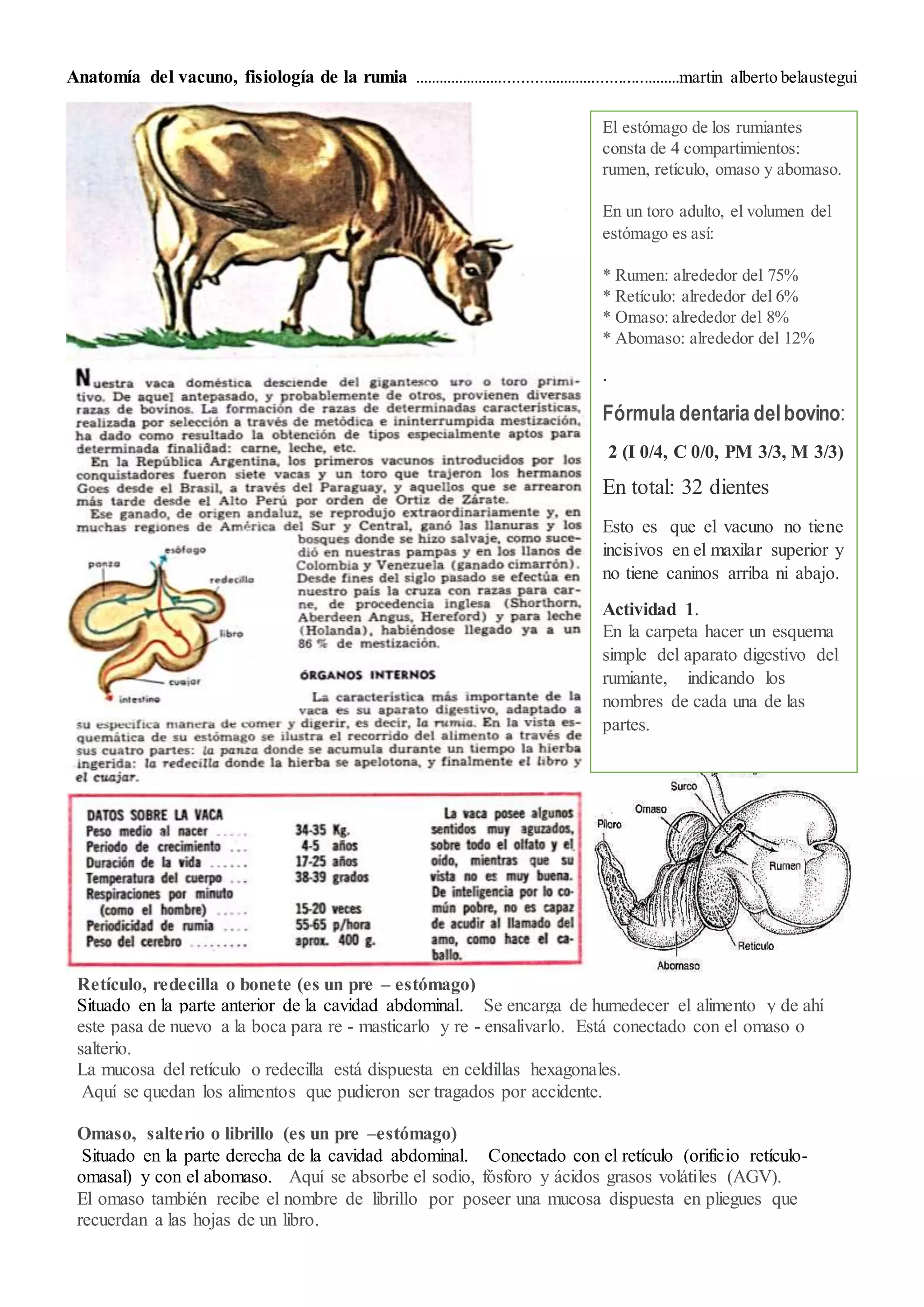 Anatomía de la vaca, fisiología de la rumia | DOCX