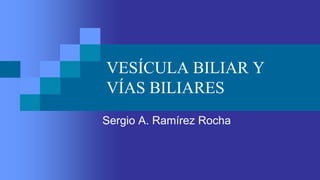 VESÍCULA BILIAR Y
VÍAS BILIARES
Sergio A. Ramírez Rocha
 