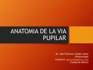 ANATOMIA DE LA VIA
PUPILAR
Dr. José Francisco Valdés López
Oftalmología
Contacto: pacovaldes@live.com
Ciudad de México
 