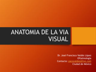 ANATOMIA DE LA VIA
VISUAL
Dr. José Francisco Valdés López
Oftalmología
Contacto: pacovaldes@live.com
Ciudad de México
 