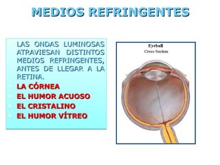 MEDIOS REFRINGENTES LAS ONDAS LUMINOSAS ATRAVIESAN DISTINTOS MEDIOS REFRINGENTES, ANTES DE LLEGAR A LA RETINA. LA CÓRNEA EL HUMOR ACUOSO EL CRISTALINO EL HUMOR VÍTREO 
