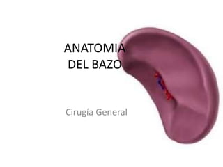 ANATOMIA
DEL BAZO
Cirugía General
 