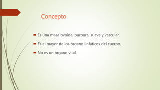 Concepto
 Es una masa ovoide, purpura, suave y vascular.
 Es el mayor de los órgano linfáticos del cuerpo.
 No es un órgano vital.
 