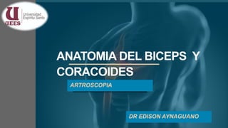 ANATOMIA DEL BICEPS Y
CORACOIDES
ARTROSCOPIA
DR EDISON AYNAGUANO
 