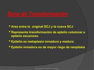 Zona de Transformación
• Area entre la original SCJ y la nueva SCJ
• Representa transformación de eptelio columnar a
epitelio escamoso
• Epitelio es metaplasia inmadura y madura
• Epitelio inmadura es de mayor riego de neoplasia
DR ROBERTO RODRIGUEZ FAJARDO
 