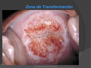 Zona de Transformación
DR ROBERTO RODRIGUEZ FAJARDO
 