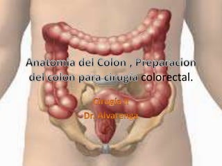 colorectal.
 