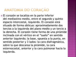  El corazón se localiza en la parte inferior 
del mediastino medio, entre el segundo y quinto 
espacio intercostal, izquierdo. El corazón está 
situado de forma oblicua: aproximadamente dos 
tercios a la izquierda del plano medio y un tercio a 
la derecha. El corazón tiene forma de una pirámide 
inclinada con el vértice en el “suelo” en sentido 
anterior izquierdo; la base, opuesta a la punta, en 
sentido posterior y 3 lados: la cara diafragmática, 
sobre la que descansa la pirámide, la cara 
esternocostal, anterior y la cara pulmonar hacia la 
izquierda. 
 