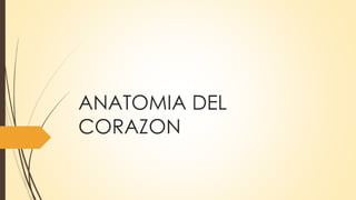 ANATOMIA DEL
CORAZON
 