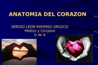 ANATOMIA DEL CORAZON SERGIO LEON RAMIREZ OROZCO Médico y Cirujano U de A 