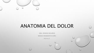 ANATOMIA DEL DOLOR
DRA. DENISSE BOLAÑOS
MEDICO RESIDENTE III AÑO
H.E.A.L.F.
 