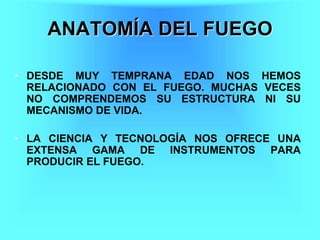 ANATOMIA DEL FUEGO - LISTO.ppt