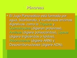  El Jugo Pancreático está formado porEl Jugo Pancreático está formado por
agua, bicarbonato, y numerosas enzimasagua, bicarbonato, y numerosas enzimas
digestivas, como ladigestivas, como la TripsinaTripsina yy
QuimotripsinaQuimotripsina (digieren proteínas),(digieren proteínas),
AmilasaAmilasa (digiere polisacáridos),(digiere polisacáridos), LipasaLipasa
(digiere triglicéridos o lípidos),(digiere triglicéridos o lípidos),
RibonucleasaRibonucleasa (digiere ARN) y(digiere ARN) y
Desoxirribonucleasa (digiere ADN).Desoxirribonucleasa (digiere ADN).
PáncreasPáncreas
 