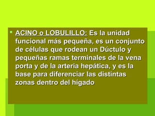  ACINO o LOBULILLO:ACINO o LOBULILLO: Es la unidadEs la unidad
funcional más pequeña, es un conjuntofuncional más pequeña, es un conjunto
de células que rodean un Dúctulo yde células que rodean un Dúctulo y
pequeñas ramas terminales de la venapequeñas ramas terminales de la vena
porta y de la arteria hepática, y es laporta y de la arteria hepática, y es la
base para diferenciar las distintasbase para diferenciar las distintas
zonas dentro del hígadozonas dentro del hígado
 