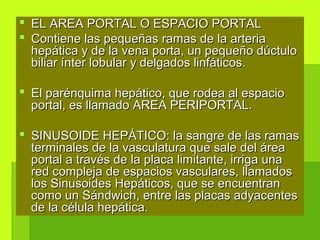  EL AREA PORTAL O ESPACIO PORTALEL AREA PORTAL O ESPACIO PORTAL
 Contiene las pequeñas ramas de la arteriaContiene las pequeñas ramas de la arteria
hepática y de la vena porta, un pequeño dúctulohepática y de la vena porta, un pequeño dúctulo
biliar ínter lobular y delgados linfáticos.biliar ínter lobular y delgados linfáticos.
 El parénquima hepático, que rodea al espacioEl parénquima hepático, que rodea al espacio
portal, es llamado AREA PERIPORTAL.portal, es llamado AREA PERIPORTAL.
 SINUSOIDE HEPÁTICO: la sangre de las ramasSINUSOIDE HEPÁTICO: la sangre de las ramas
terminales de la vasculatura que sale del áreaterminales de la vasculatura que sale del área
portal a través de la placa limitante, irriga unaportal a través de la placa limitante, irriga una
red compleja de espacios vasculares, llamadosred compleja de espacios vasculares, llamados
los Sinusoides Hepáticos, que se encuentranlos Sinusoides Hepáticos, que se encuentran
como un Sándwich, entre las placas adyacentescomo un Sándwich, entre las placas adyacentes
de la célula hepática.de la célula hepática.
 