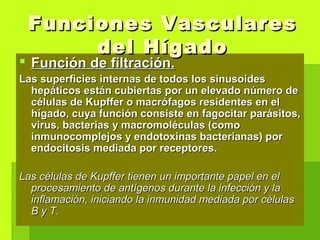  Función de filtración.Función de filtración.
Las superficies internas de todos los sinusoidesLas superficies internas de todos los sinusoides
hepáticos están cubiertas por un elevado número dehepáticos están cubiertas por un elevado número de
células de Kupffer o macrófagos residentes en elcélulas de Kupffer o macrófagos residentes en el
hígado, cuya función consiste en fagocitar parásitos,hígado, cuya función consiste en fagocitar parásitos,
virus, bacterias y macromoléculas (comovirus, bacterias y macromoléculas (como
inmunocomplejos y endotoxinas bacterianas) porinmunocomplejos y endotoxinas bacterianas) por
endocitosis mediada por receptores.endocitosis mediada por receptores.
Las células de Kupffer tienen un importante papel en elLas células de Kupffer tienen un importante papel en el
procesamiento de antígenos durante la infección y laprocesamiento de antígenos durante la infección y la
inflamación, iniciando la inmunidad mediada por célulasinflamación, iniciando la inmunidad mediada por células
B y T.B y T.
Funciones VascularesFunciones Vasculares
del Hígadodel Hígado
 