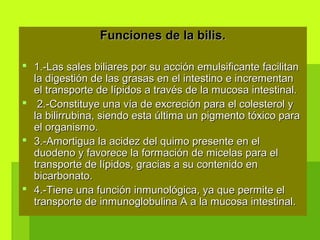 Funciones de la bilis.Funciones de la bilis.
 1.-Las sales biliares por su acción emulsificante facilitan1.-Las sales biliares por su acción emulsificante facilitan
la digestión de las grasas en el intestino e incrementanla digestión de las grasas en el intestino e incrementan
el transporte de lípidos a través de la mucosa intestinal.el transporte de lípidos a través de la mucosa intestinal.
 2.-Constituye una vía de excreción para el colesterol y2.-Constituye una vía de excreción para el colesterol y
la bilirrubina, siendo esta última un pigmento tóxico parala bilirrubina, siendo esta última un pigmento tóxico para
el organismo.el organismo.
 3.-Amortigua la acidez del quimo presente en el3.-Amortigua la acidez del quimo presente en el
duodeno y favorece la formación de micelas para elduodeno y favorece la formación de micelas para el
transporte de lípidos, gracias a su contenido entransporte de lípidos, gracias a su contenido en
bicarbonato.bicarbonato.
 4.-Tiene una función inmunológica, ya que permite el4.-Tiene una función inmunológica, ya que permite el
transporte de inmunoglobulina A a la mucosa intestinal.transporte de inmunoglobulina A a la mucosa intestinal.
 