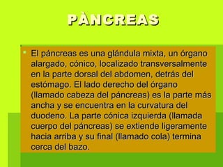 PÀNCREASPÀNCREAS
 El páncreas es una glándula mixta, un órganoEl páncreas es una glándula mixta, un órgano
alargado, cónico, localizado transversalmentealargado, cónico, localizado transversalmente
en la parte dorsal del abdomen, detrás delen la parte dorsal del abdomen, detrás del
estómago. El lado derecho del órganoestómago. El lado derecho del órgano
(llamado cabeza del páncreas) es la parte más(llamado cabeza del páncreas) es la parte más
ancha y se encuentra en la curvatura delancha y se encuentra en la curvatura del
duodeno. La parte cónica izquierda (llamadaduodeno. La parte cónica izquierda (llamada
cuerpo del páncreas) se extiende ligeramentecuerpo del páncreas) se extiende ligeramente
hacia arriba y su final (llamado cola) terminahacia arriba y su final (llamado cola) termina
cerca del bazo.cerca del bazo.
 