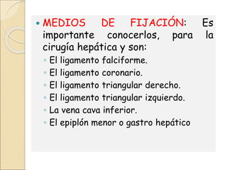  MEDIOS DE FIJACIÓN: Es
importante conocerlos, para la
cirugía hepática y son:
◦ El ligamento falciforme.
◦ El ligamento coronario.
◦ El ligamento triangular derecho.
◦ El ligamento triangular izquierdo.
◦ La vena cava inferior.
◦ El epiplón menor o gastro hepático
 