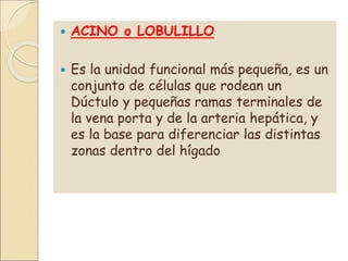  ACINO o LOBULILLO:
 Es la unidad funcional más pequeña, es un
conjunto de células que rodean un
Dúctulo y pequeñas ramas terminales de
la vena porta y de la arteria hepática, y
es la base para diferenciar las distintas
zonas dentro del hígado
 