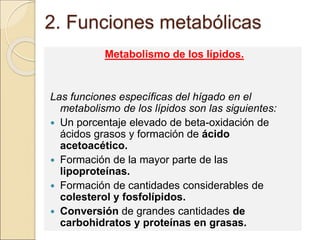 2. Funciones metabólicas
Metabolismo de los lípidos.
Las funciones específicas del hígado en el
metabolismo de los lípidos son las siguientes:
 Un porcentaje elevado de beta-oxidación de
ácidos grasos y formación de ácido
acetoacético.
 Formación de la mayor parte de las
lipoproteínas.
 Formación de cantidades considerables de
colesterol y fosfolípidos.
 Conversión de grandes cantidades de
carbohidratos y proteínas en grasas.
 