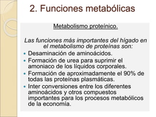 2. Funciones metabólicas
Metabolismo proteínico.
Las funciones más importantes del hígado en
el metabolismo de proteínas son:
 Desaminación de aminoácidos.
 Formación de urea para suprimir el
amoniaco de los líquidos corporales.
 Formación de aproximadamente el 90% de
todas las proteínas plasmáticas.
 Inter conversiones entre los diferentes
aminoácidos y otros compuestos
importantes para los procesos metabólicos
de la economía.
 