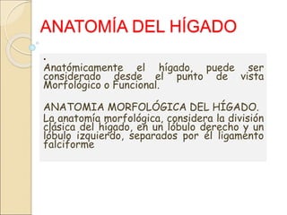 ANATOMÍA DEL HÍGADO
.
Anatómicamente el hígado, puede ser
considerado desde el punto de vista
Morfológico o Funcional.
ANATOMIA MORFOLÓGICA DEL HÍGADO.
La anatomía morfológica, considera la división
clásica del hígado, en un lóbulo derecho y un
lóbulo izquierdo, separados por él ligamento
falciforme
 