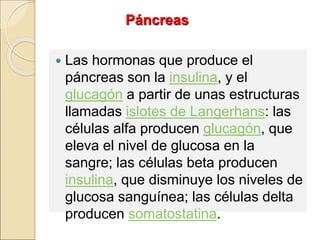  Las hormonas que produce el
páncreas son la insulina, y el
glucagón a partir de unas estructuras
llamadas islotes de Langerhans: las
células alfa producen glucagón, que
eleva el nivel de glucosa en la
sangre; las células beta producen
insulina, que disminuye los niveles de
glucosa sanguínea; las células delta
producen somatostatina.
Páncreas
 