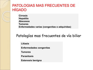 PATOLOGIAS MAS FRECUENTES DE
HÍGADO
Cirrosis
Hepatitis
Abscesos
Tumores
Enfermedades varias (congenitas o adquiridas)
Patologías mas frecuentes de vía biliar
Litiasis
Enfermedades congenitas
Tumores
Parasitosis
Estenosis benigna
 
