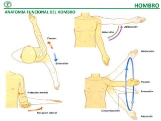 HOMBRO
ANATOMIA FUNCIONAL DEL HOMBRO
 