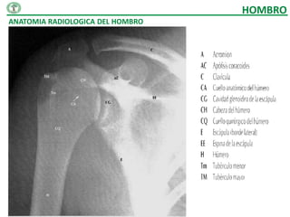 HOMBRO
ANATOMIA RADIOLOGICA DEL HOMBRO
 