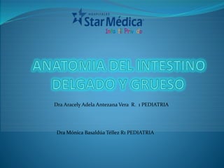 Dra Aracely Adela Antezana Vera R. 1 PEDIATRIA 
DraMónica Basaldúa Téllez R1 PEDIATRIA 
 