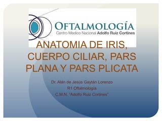 ANATOMIA DE IRIS,
CUERPO CILIAR, PARS
PLANA Y PARS PLICATA
Dr. Alán de Jesús Gaytán Lorenzo
R1 Oftalmología
C.M.N. “Adolfo Ruiz Cortines”
 