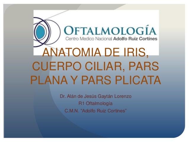 Anatomia Del Iris Cuerpo Ciliar Y Pars Plana Y Plicata